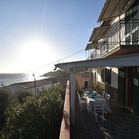 Appartamenti Cavoli - Vista Mare Con Terrazze, Clima E Posti Auto Spiaggia di Cavoli Eksteriør bilde